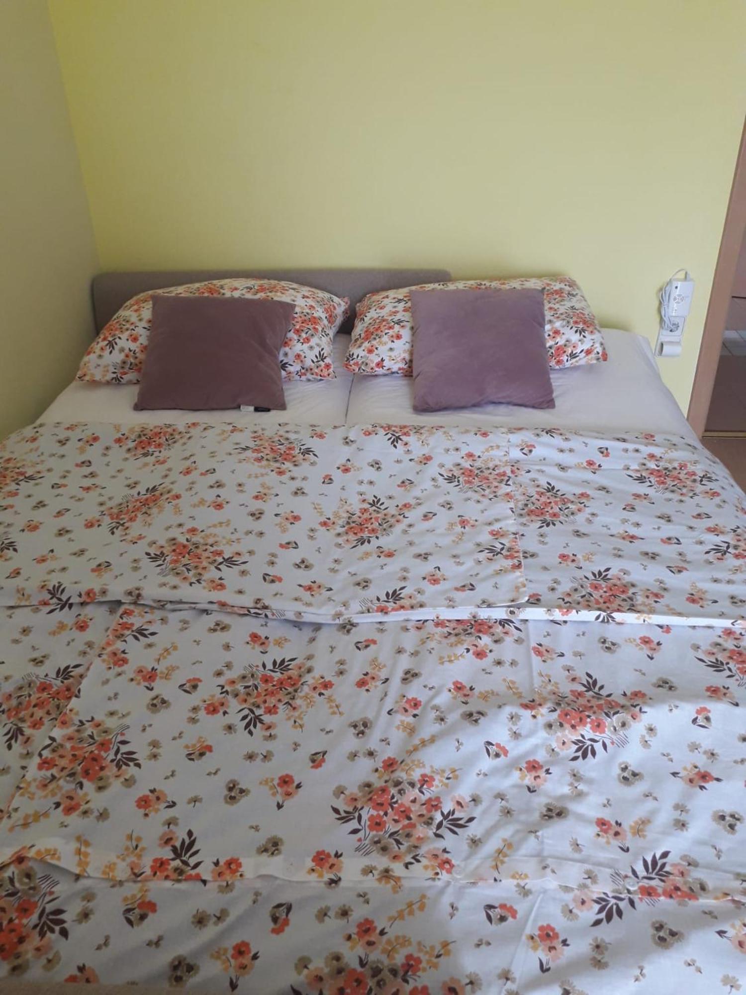 נובי ווינודולסקי Apartment Kolaric מראה חיצוני תמונה